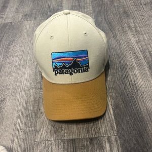 Patagonia baseball cap